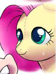 Size: 394x524 | Tagged: source needed, useless source url, safe, artist:outta sync, edit, fluttershy, pony, g4, cropped porn, crying, female, irl, photo, plushie, single tear