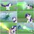 Size: 2896x2896 | Tagged: safe, edit, screencap, queen chrysalis, rarity, spike, dragon, pony, g4, my little pony: friendship is magic, season 9, the ending of the end, leak, attack, blast, collage, defending, female, firebreathing, high res, magic, magic beam, magic blast, male, shield, ultimate chrysalis, winged spike, wings