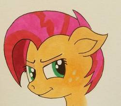 Size: 954x838 | Tagged: safe, artist:polar_storm, babs seed, earth pony, pony, g4, colored sketch, female, freckles, green eyes, mare, solo, traditional art