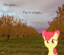 Size: 1733x1500 | Tagged: safe, artist:bryal, apple bloom, earth pony, pony, g4, autumn, cloud, dark clouds, female, filly, irl, photo, ponies in real life, raincloud, sad, sad in hindsight, solo, tree