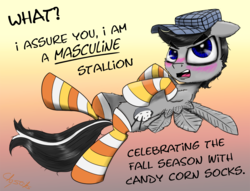 Size: 2000x1524 | Tagged: safe, artist:chopsticks, oc, oc only, oc:chopsticks, pegasus, pony, blushing, cheek fluff, clothes, cutie mark, dialogue, funny, hat, looking at you, male, socks, solo, stallion, striped socks, text