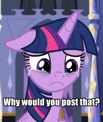 Size: 1090x1298 | Tagged: safe, edit, edited screencap, screencap, twilight sparkle, alicorn, pony, g4, the last problem, leak, :c, cropped, crying, female, floppy ears, frown, image macro, inverted mouth, looking down, mare, meme, reaction image, sad, solo, text, text edit, this saddens, twilight sparkle (alicorn), why would you post that