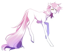 Size: 2560x2076 | Tagged: safe, artist:júlien gínko, roseluck, pony, g4, collar, commissioner:doom9454, high res, long tail, missing cutie mark, pet tag, pony pet, rosepet, sketch, tail, thin