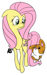 Size: 703x1136 | Tagged: safe, artist:radarlakekosh, fluttershy, corgi, dog, pegasus, pony, g4, duo, female, floppy ears, folded wings, looking at each other, mare, outline, simple background, transparent background, white outline, wings