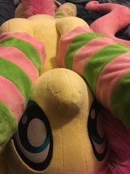 Size: 3024x4032 | Tagged: safe, artist:natureshy, artist:qtpony, fluttershy, pony, g4, belly, clothes, cute, featureless crotch, irl, photo, plushie, shyabetes, socks, solo, striped socks, upside down