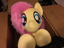 Size: 4032x3024 | Tagged: safe, artist:natureshy, artist:qtpony, fluttershy, pony, g4, box, cute, flutterbox, irl, life size, photo, plushie, pony in a box, shyabetes