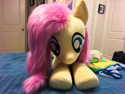 Size: 4032x3024 | Tagged: safe, artist:natureshy, artist:qtpony, fluttershy, pony, g4, female, fluffy, front view, irl, life size, lying on bed, photo, plushie, prone