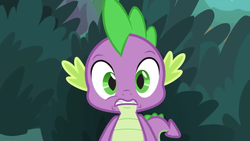 Size: 1280x720 | Tagged: safe, screencap, spike, dragon, g4, the big mac question, disturbed, looking at you, male, scared, solo, tail, winged spike, wings
