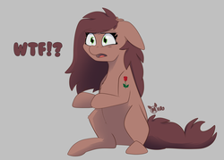 Size: 3253x2324 | Tagged: safe, artist:miaowwww, oc, oc only, earth pony, pony, female, high res, mare, simple background, wtf