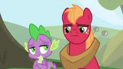 Size: 1280x720 | Tagged: safe, screencap, big macintosh, spike, dragon, earth pony, pony, g4, the big mac question, claws, crossed arms, looking at each other, male, stallion, tail, winged spike, wings