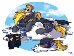 Size: 2600x2000 | Tagged: safe, artist:ami-gami, spitfire, oc, oc:blaze (shadowbolt), oc:enquiring essence, pegasus, pony, g4, clothes, cloud, costume, female, high res, lying down, lying on a cloud, on a cloud, plushie, scarf, shadowbolts, shadowbolts costume, sleeping, sleeping on a cloud, solo