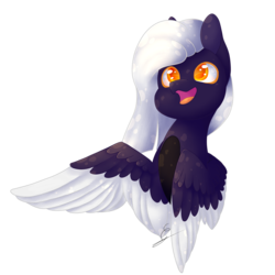 Size: 1400x1400 | Tagged: safe, artist:minetane, oc, oc only, pegasus, pony, bust, female, mare, portrait, simple background, solo, transparent background, two toned wings, wings