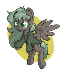 Size: 500x547 | Tagged: safe, artist:dumbwoofer, oc, oc only, oc:forest air, pegasus, pony, clothes, cute, female, flying, foal, hoodie, solo