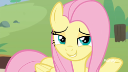 Size: 1920x1080 | Tagged: safe, screencap, angel bunny, fluttershy, pegasus, pony, g4, she talks to angel, body swap, discovery family logo, female, mare, solo
