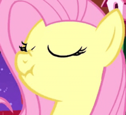 Size: 510x467 | Tagged: safe, edit, edited screencap, screencap, fluttershy, pegasus, pony, g4, season 1, stare master, animated, cropped, cute, eyes closed, female, gif, mare, nose wrinkle, scrunchy face, shyabetes, solo, the beginning, vibrating