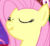 Size: 510x467 | Tagged: safe, edit, edited screencap, screencap, fluttershy, pegasus, pony, g4, season 1, stare master, animated, cropped, cute, eyes closed, female, gif, mare, nose wrinkle, scrunchy face, shyabetes, solo, the beginning, vibrating