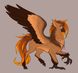 Size: 2712x2550 | Tagged: safe, artist:askbubblelee, oc, oc only, oc:singe, classical hippogriff, hippogriff, freckles, high res, male, simple background, smiling, solo, species swap