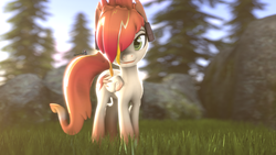 Size: 1920x1080 | Tagged: safe, artist:spinostud, oc, oc:tomyum, pegasus, pony, 3d, female, headset, looking at you, mare, source filmmaker