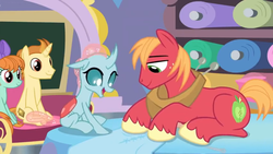 Size: 1600x900 | Tagged: safe, screencap, big macintosh, golden crust, ocellus, peppermint goldylinks, changedling, changeling, earth pony, pony, a horse shoe-in, g4, classroom, couch, fabric, friendship student, male, rolls, sewing, stallion, teenager