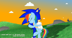 Size: 3874x2069 | Tagged: safe, artist:trungtranhaitrung, rainbow dash, hedgehog, pegasus, pony, g4, crossover, end of ponies, eyes closed, high res, hug, male, sega, sonic the hedgehog, sonic the hedgehog (series), video game