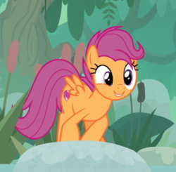 Size: 538x527 | Tagged: safe, screencap, scootaloo, pegasus, pony, g4, growing up is hard to do, cropped, crouching, cute, cutealoo, cutie mark, female, mare, older, older scootaloo, smiling, solo, the cmc's cutie marks