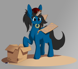 Size: 3218x2847 | Tagged: safe, artist:miaowwww, oc, oc:blue pone, alicorn, pony, cardboard, cardboard box, cardboard horn, cardboard wings, fake wings, high res
