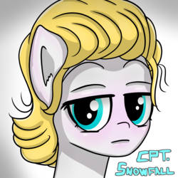 Size: 6000x6000 | Tagged: safe, artist:undisputed, oc, oc only, oc:snowfall winter, pony, female, mare, solo