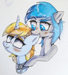 Size: 3080x3368 | Tagged: safe, artist:naet, oc, oc:midnight dagger, oc:skydreams, pony, unicorn, biting, blushing, bust, collar, commission, duo, ear bite, high res, lip bite, traditional art