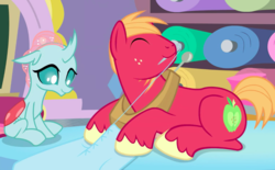 Size: 1134x703 | Tagged: safe, screencap, big macintosh, ocellus, changedling, changeling, earth pony, pony, a horse shoe-in, g4, cute, diaocelles, macabetes, male, mouth hold, sewing, sewing needle, smiling, stallion