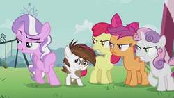 Size: 1024x576 | Tagged: safe, screencap, apple bloom, diamond tiara, pipsqueak, scootaloo, sweetie belle, earth pony, pegasus, pony, unicorn, g4, apple bloom's bow, bow, cutie mark crusaders, female, filly, hair bow, photo