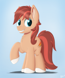 Size: 3152x3800 | Tagged: safe, artist:arcane-thunder, oc, oc only, oc:cottonwood kindle, earth pony, pony, cheek fluff, chest fluff, ear fluff, gift art, gradient background, high res, male, smiling, solo, stallion
