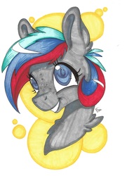 Size: 4273x5905 | Tagged: safe, artist:pegasister223, oc, oc only, pony, bust, female, freckles, mare, simple background, smiling, solo, traditional art, white background