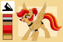 Size: 3000x2000 | Tagged: safe, artist:xwhitedreamsx, oc, oc only, pegasus, pony, female, high res, mare, reference sheet, solo