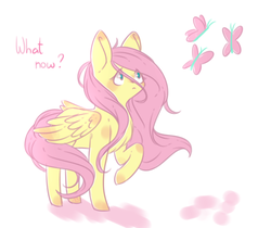 Size: 789x663 | Tagged: safe, artist:squishy-angel, fluttershy, butterfly, pegasus, pony, g4, chest fluff, cute, female, folded wings, looking at something, looking up, mare, raised hoof, shyabetes, solo, standing, stray strand, three quarter view, windswept mane, wings