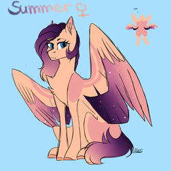 Size: 3000x3000 | Tagged: safe, artist:sacaat, oc, oc only, oc:summer, pegasus, pony, blue background, chest fluff, coat markings, female, high res, looking at you, mare, reference sheet, simple background, sitting, solo, spread wings, starry wings, wings