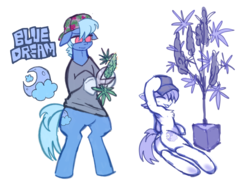 Size: 3035x2272 | Tagged: safe, artist:bugbites, oc, oc:bluedream, earth pony, pony, armpits, backwards ballcap, baseball cap, cap, cutie mark, drugs, hat, hemp, high res, marijuana, standing