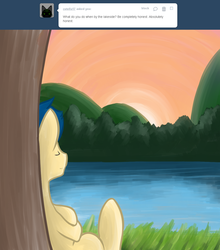 Size: 1000x1135 | Tagged: safe, artist:shadowkixx, oc, oc only, oc:sunray smiles, pony, ask sunray smiles, ask, male, solo, stallion, sunset, tumblr