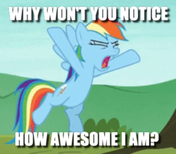 Size: 412x361 | Tagged: safe, edit, edited screencap, screencap, rainbow dash, pony, g4, non-compete clause, caption, cropped, female, image macro, narcissism, solo, text, yelling