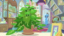 Size: 1920x1080 | Tagged: safe, screencap, phyllis, trixie, pony, unicorn, a horse shoe-in, g4, female, mare, potted plant, solo, starlight's office