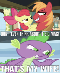 Size: 640x778 | Tagged: safe, edit, edited screencap, editor:undeadponysoldier, screencap, apple bloom, big macintosh, spike, dragon, earth pony, pony, g4, bait and switch, bedroom eyes, caption, don't even think about it, female, filly, image macro, implied incest, male, meme, ship:spikebloom, shipping, smug, stallion, straight, text, wrong aspect ratio