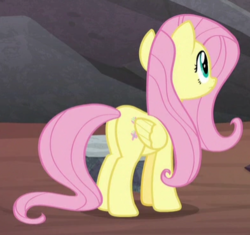 Size: 393x369 | Tagged: safe, screencap, fluttershy, pegasus, pony, g4, sweet and smoky, butt, cropped, female, flutterbutt, mare, plot, solo