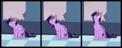 Size: 2648x1061 | Tagged: safe, artist:duop-qoub, twilight sparkle, alicorn, pony, descended twilight, g4, behaving like a cat, chest fluff, cute, ear fluff, female, mare, meme, missing accessory, necc, ponified animal photo, ponified animal video, solo, twiabetes, twilight cat, twilight sparkle (alicorn), wings