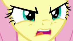 Size: 1920x1080 | Tagged: safe, screencap, fluttershy, pegasus, pony, g4, sweet and smoky, angry, bust, close-up, female, mare, open mouth, portrait, solo