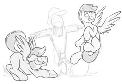 Size: 4096x2834 | Tagged: safe, artist:dripponi, oc, oc only, oc:noxy, oc:windy dripper, pegasus, pony, behaving like a bird, black and white, grayscale, male, monochrome, noxydrip, scarecrow