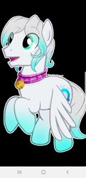 Size: 622x1280 | Tagged: safe, artist:snowbankst, oc, oc only, oc:cold front, pegasus, pony, bell, bell collar, black background, collar, flying, gradient hooves, latex, looking up, male, pegasus oc, simple background, solo