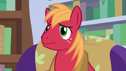 Size: 1920x1080 | Tagged: safe, screencap, big macintosh, earth pony, pony, a horse shoe-in, g4, male, solo, stallion