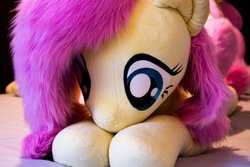 Size: 4096x2731 | Tagged: safe, artist:natureshy, artist:qtpony, fluttershy, pony, g4, cute, eye, eyes, female, fluffy, front view, irl, life size, lying on bed, photo, plushie, prone, shyabetes, weapons-grade cute