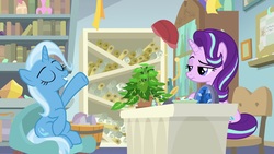 Size: 1920x1080 | Tagged: safe, screencap, phyllis, starlight glimmer, trixie, pony, unicorn, a horse shoe-in, g4, arrogant, bookshelf, duo, eyes closed, female, frown, grin, hair flip, headmare starlight, interview, mare, narrowed eyes, philodendron, raised eyebrow, raised hoof, scroll, sitting, smiling, starlight glimmer is not amused, starlight's office, unamused, unimpressed