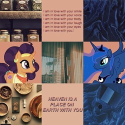 Size: 640x640 | Tagged: safe, princess luna, saffron masala, pony, g4, collage, crack shipping, female, lesbian, moodboard, shipping