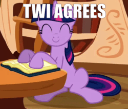 Size: 493x420 | Tagged: safe, edit, edited screencap, screencap, twilight sparkle, pony, unicorn, a friend in deed, animated, book, caption, cropped, cute, eyes closed, female, golden oaks library, image macro, ladder, looking at you, mare, nodding, sitting, smiling, solo, text, twiabetes, unicorn twilight, yes